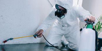 Pest Control Islamabad